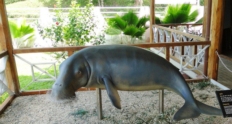 Mahatma Gandhi Marine National Park gallery image 5