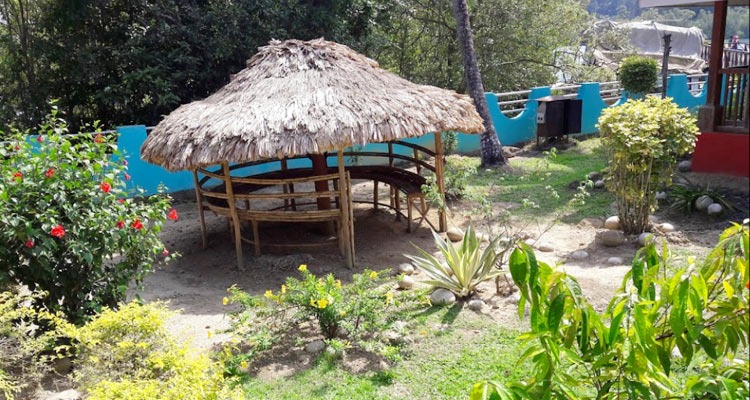Mahatma Gandhi Marine National Park gallery image 4