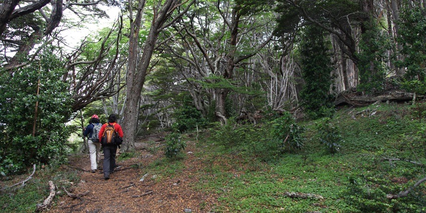 Madhuban Trekking Trail